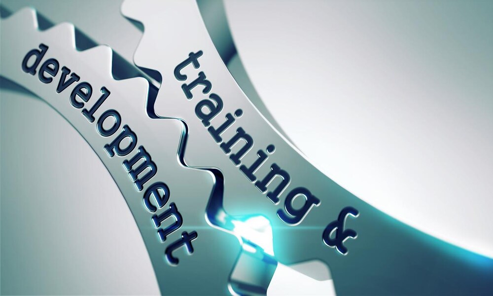 Training and development
